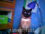 Naomy