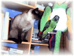 Naomy et Eliott